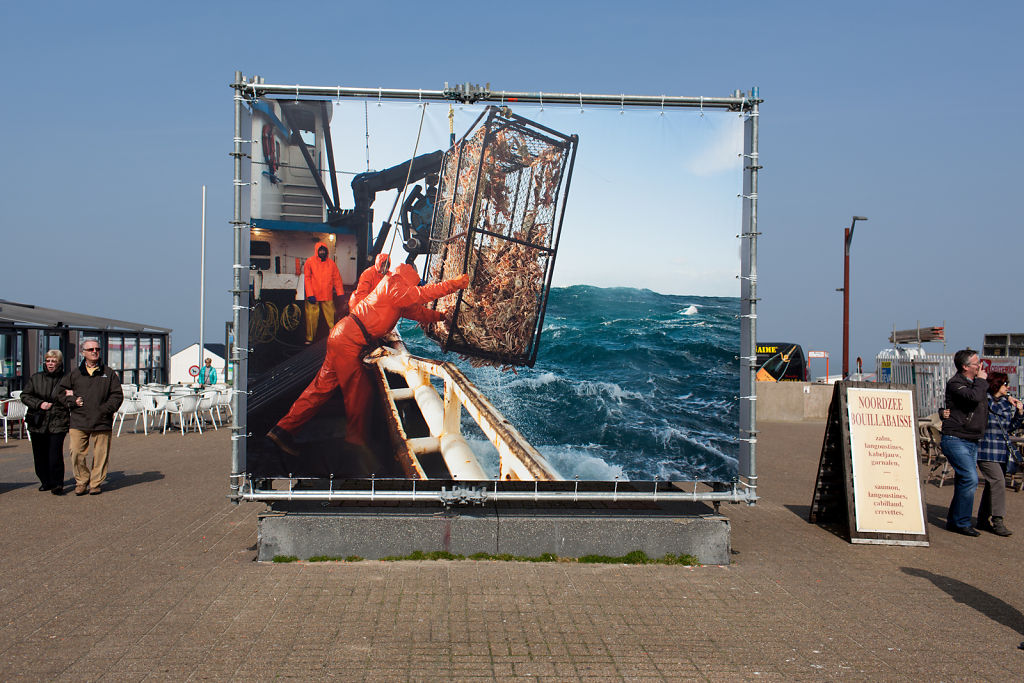 Fish-Work / Foto Festival Knokke Heist, Belgium, 2012
